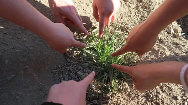 Touching grass on a hike!